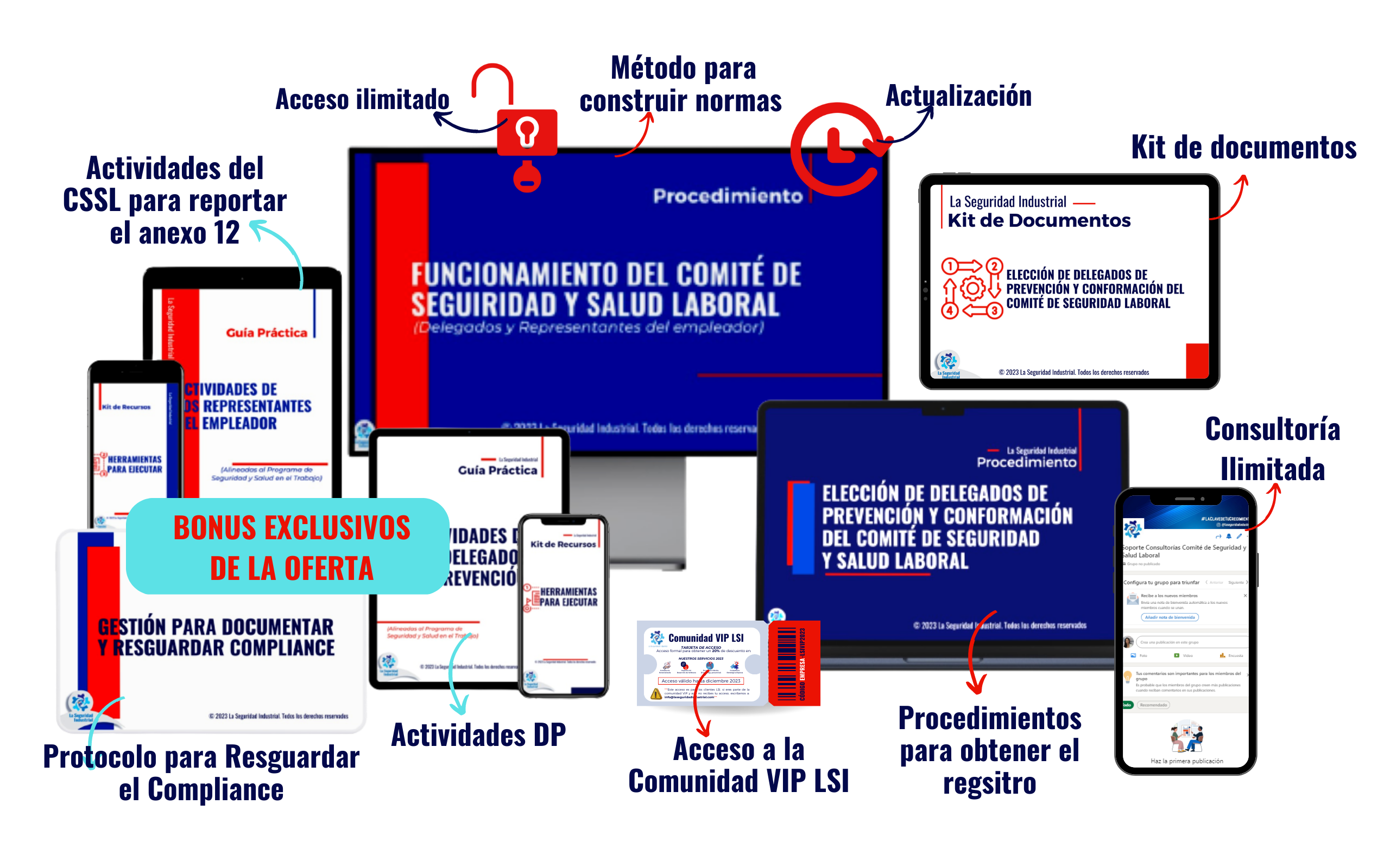 Consultoría Online